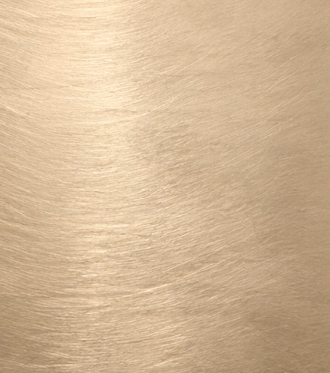 Brushed gold, vertical grain. Lighter than the other two golds.
